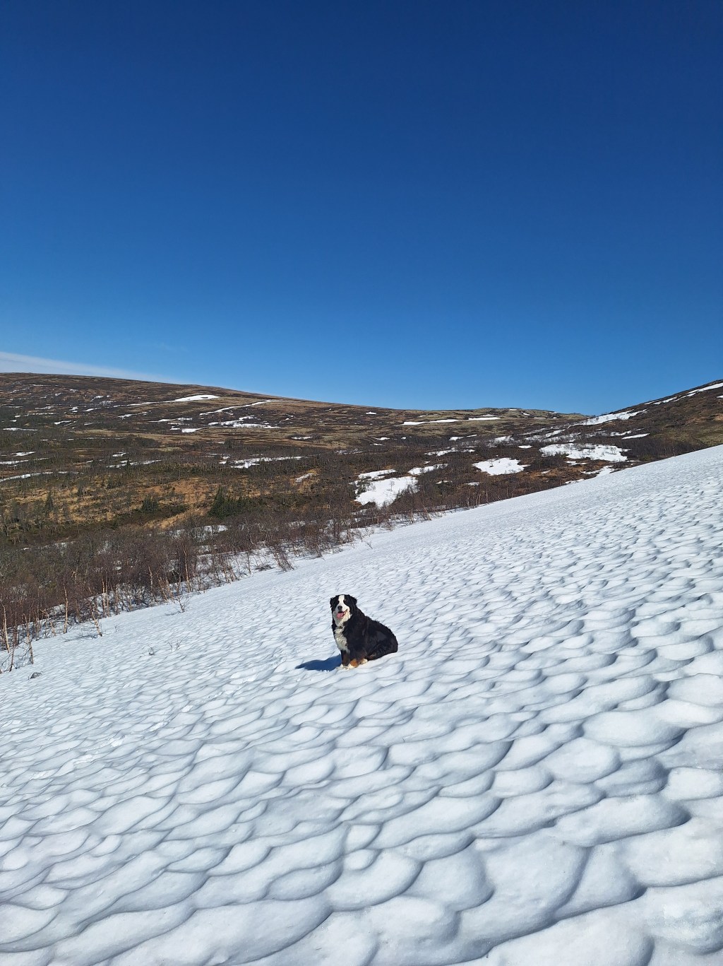 Tilgjengelighet i påska